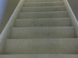 carpet cleaning stairs 2 before